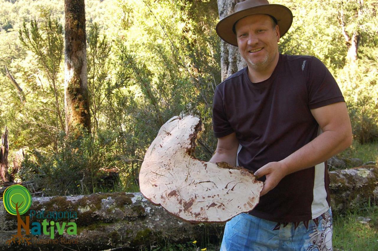 Willa Cabana Patagonia Nativa Rural Coyhaique Zewnętrze zdjęcie